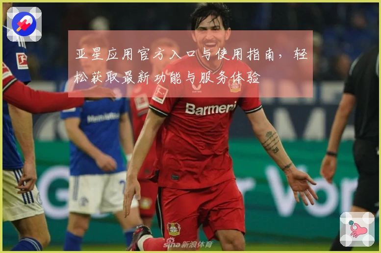 亚星应用官方入口与使用指南，轻松获取最新功能与服务体验