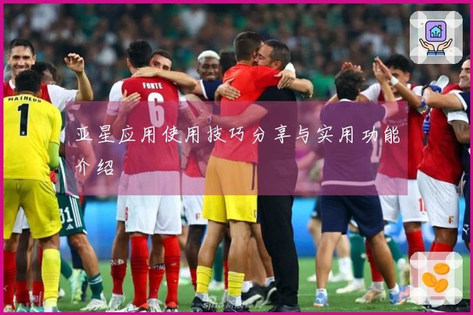 亚星应用使用技巧分享与实用功能介绍