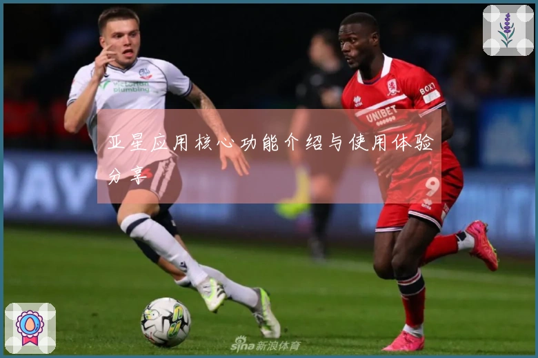 亚星应用核心功能介绍与使用体验分享