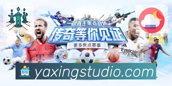 <strong>亚星官网</strong>App 统计页示例